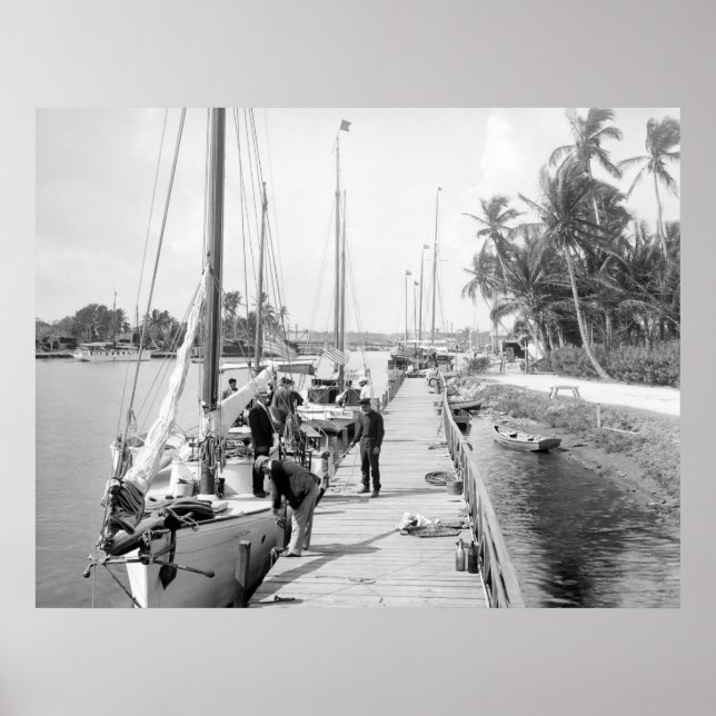 Miami Sailboats, 1905 Poster (Front)