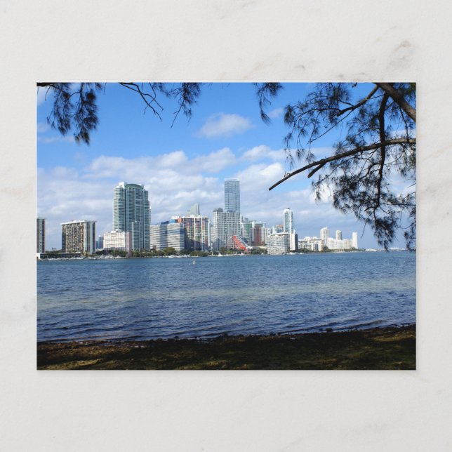 Miami Skyline Postcard (Front)
