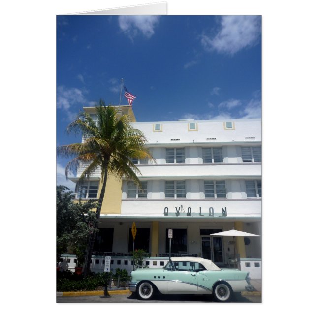 miami vintage (Front)