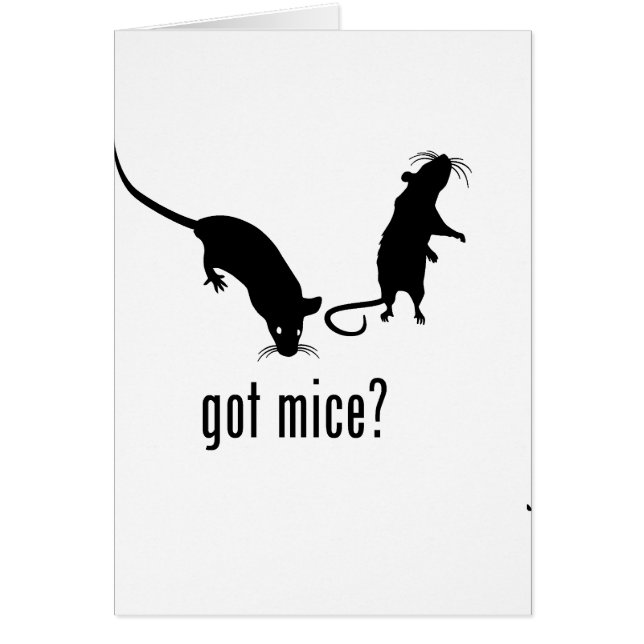 Mice (Front)