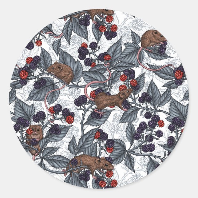 Mice and blackberries on white classic round sticker (Front)