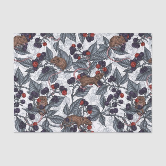 Mice and blackberries on white tissue paper (Front)
