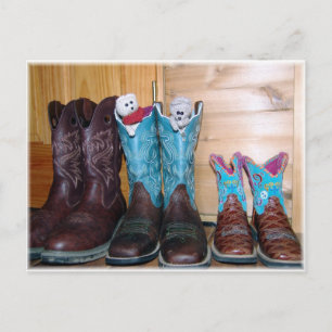Mice in boots! postcard
