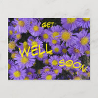 Michaelmas Daisy Cust. Get Well Soon Postcard