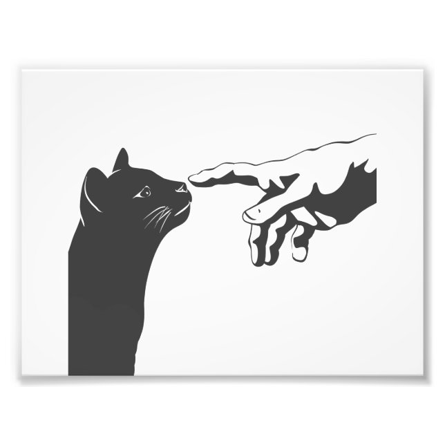 Michelangelo Cat - Choose background colour Photo Print (Front)