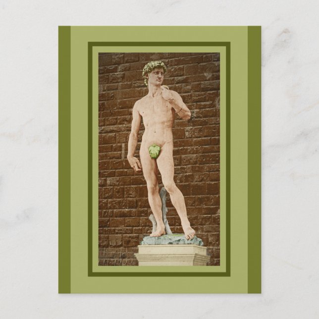 MICHELANGELO DAVID WITH FIG LEAF  POSTCARD (Front)