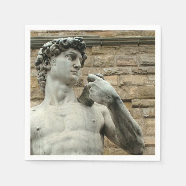 Michelangelo's David 1 Napkin (Front)