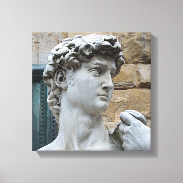 Michelangelo's David Canvas Print (Front)