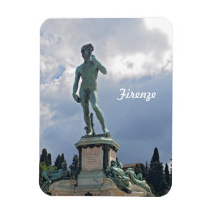 MIchelangelo's David Magnet