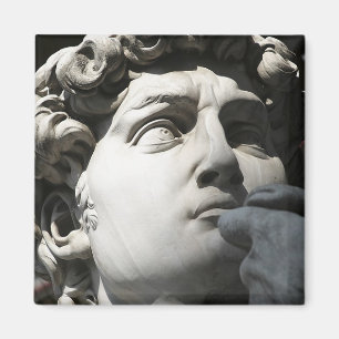 Michelangelo's David Magnet