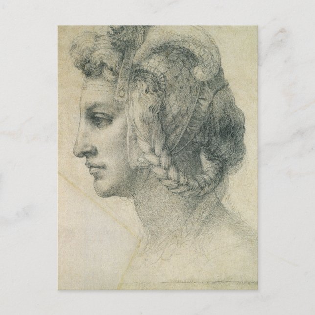 Michelangelo's Ideal Head of a Woman Postcard (Front)