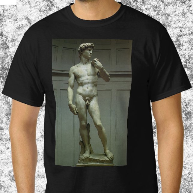 Michelangelo's Statue of David T-Shirt (Creator Uploaded)