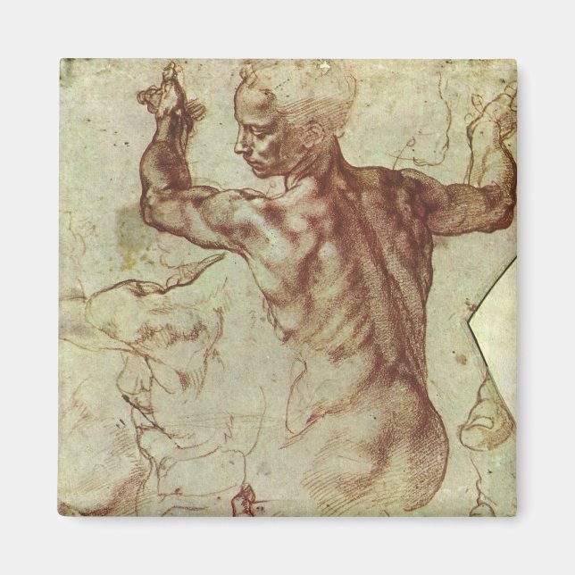 Michelangelo's Study of a Libyan Sibyl Magnet (Front)