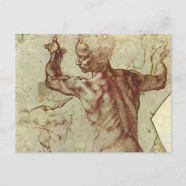 Michelangelo's Study of a Libyan Sibyl Postcard (Front)