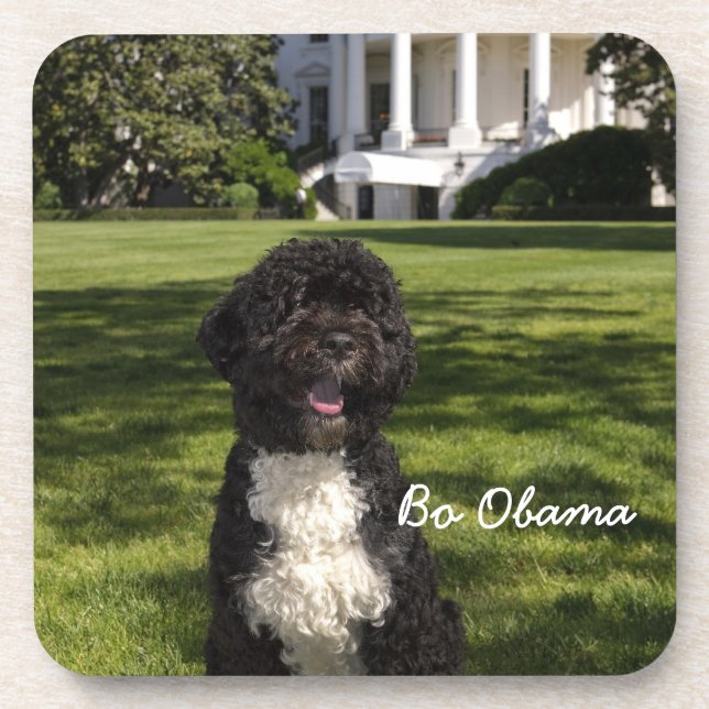 Michele & Bo Obama Coaster (Front)