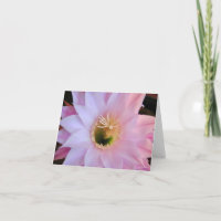 Michelle's cactus flower