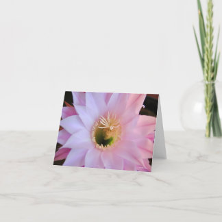 Michelle's cactus flower thank you card