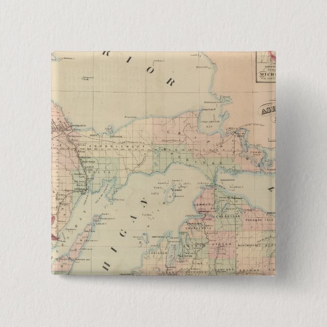 Michigan 15 Cm Square Badge (Front)