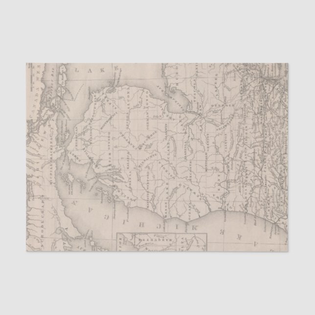 Michigan 9 tissue paper (Front)