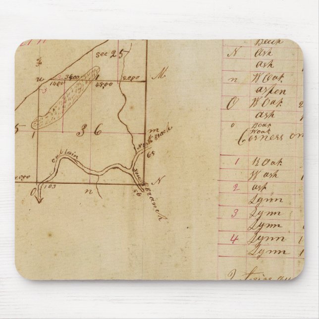 Michigan and Indiana Survey Mouse Pad (Front)