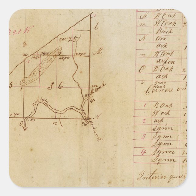Michigan and Indiana Survey Square Sticker (Front)