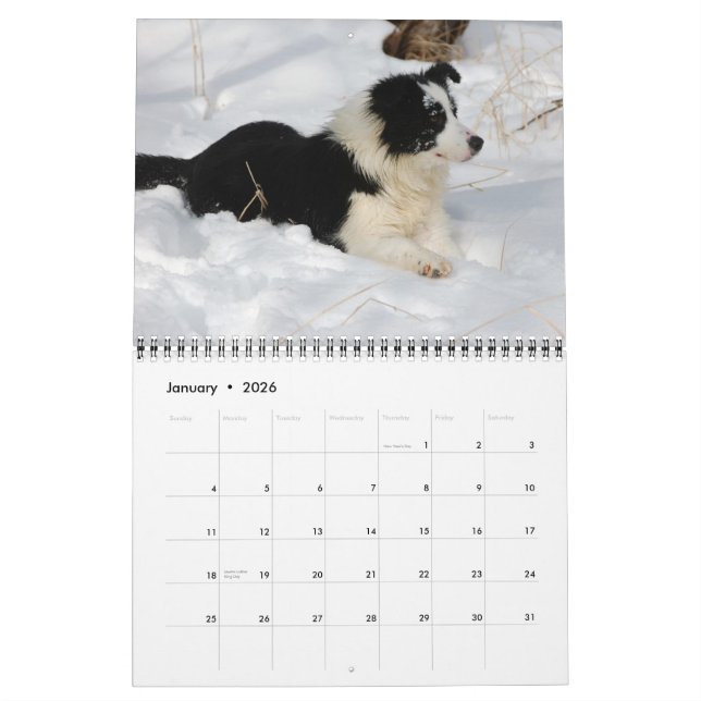 Michigan Border Collies 2012 Calendar (Jan 2026)