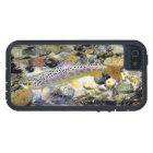 Michigan Brown Trout