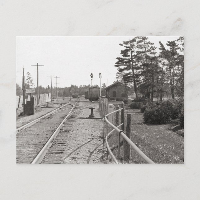 Michigan Central Railroad Yard Postcard (Front)