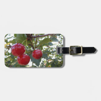 Michigan Cherries Luggage Tag