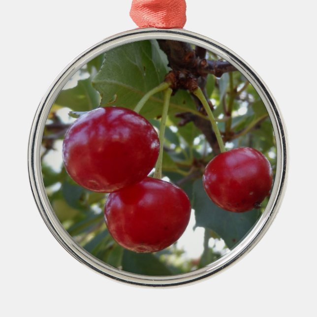 Michigan Cherries Metal Tree Decoration (Front)