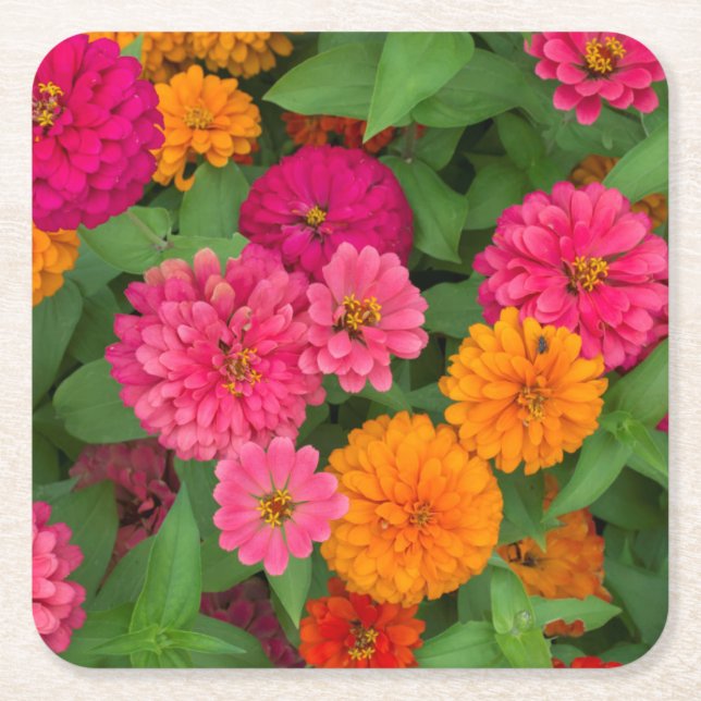 Michigan, Dearborn, Greenfield Village. Close up Square Paper Coaster (Front)