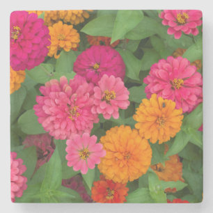Michigan, Dearborn, Greenfield Village. Close up Stone Coaster