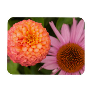 Michigan, Dearborn, Greenfield Village. Peach Magnet