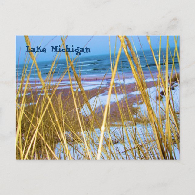 Michigan Dune Grass Post Card (Front)
