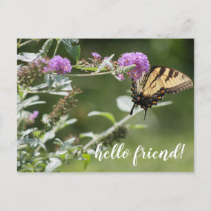 Michigan Eastern Swallowtail Butterfly Postcard