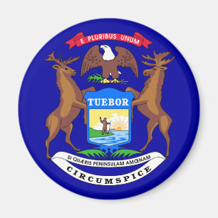 Michigan Flag Magnet