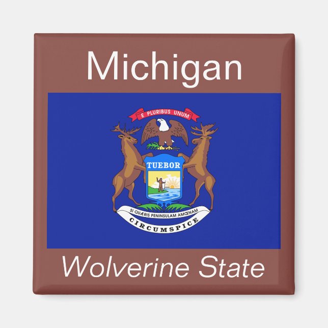 Michigan Flag Magnet (Front)