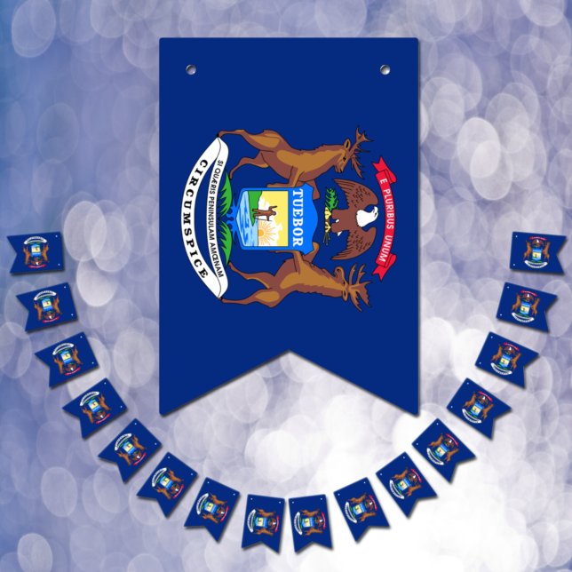 Michigan Flag Party, bunting Banners / Weddings (Creator Uploaded)