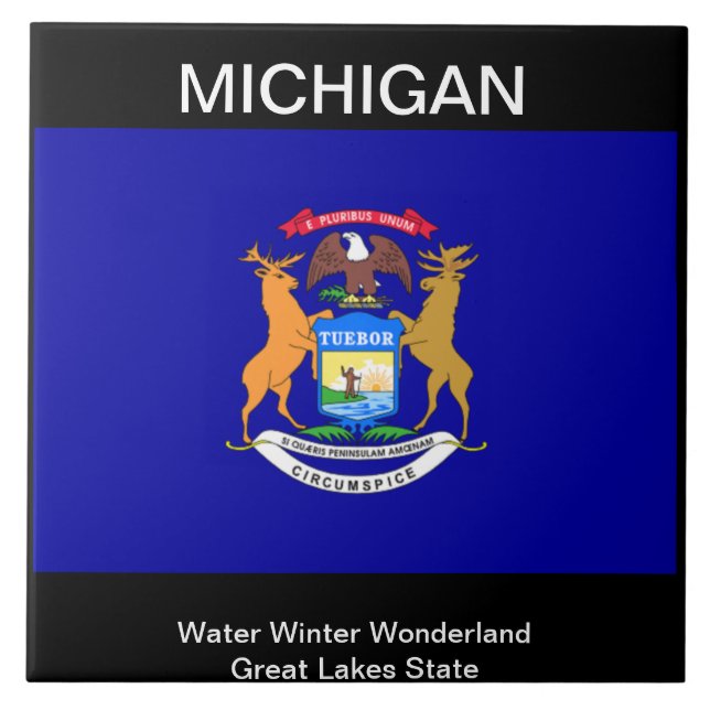 Michigan Flag Tile (Front)
