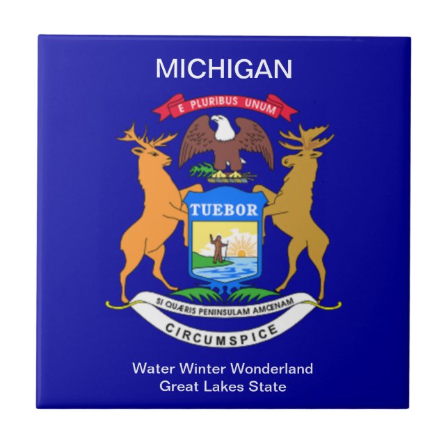 Michigan Flag Tile (Front)