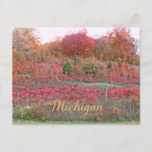 "MICHIGAN HILLSIDE AFLAME WITH COLOR" POSTCARD