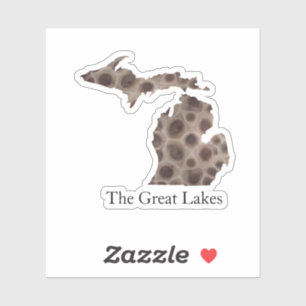 Michigan Petoskey Stone, Great Lakes mitten 