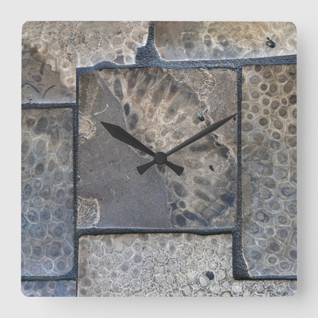 Michigan Petoskey Stone Square Wall Clock (Front)