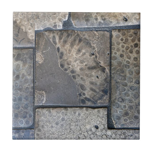 Michigan Petoskey Stone Tile (Front)