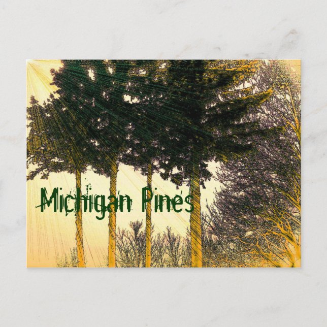 Michigan Pines Postcard (Front)