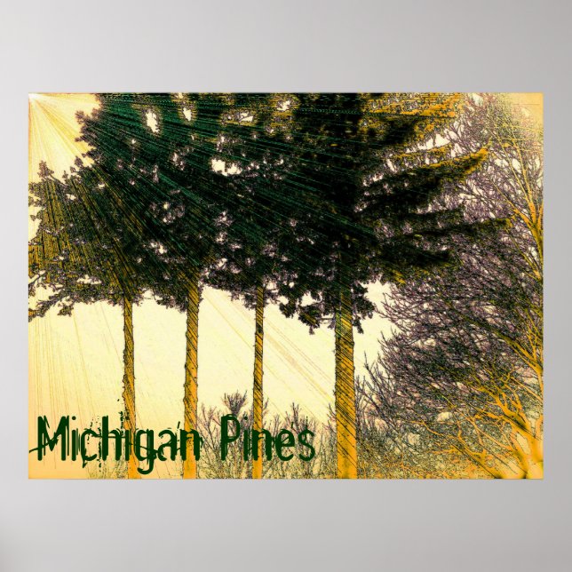 Michigan Pines Poster (Front)