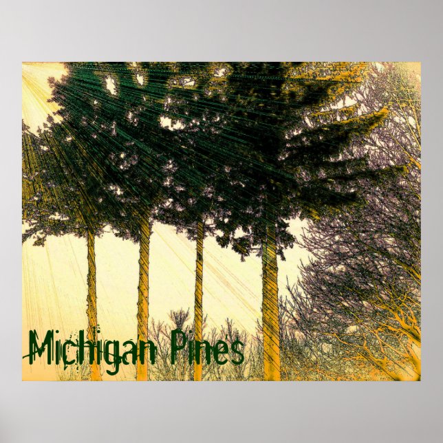 Michigan Pines Poster (Front)