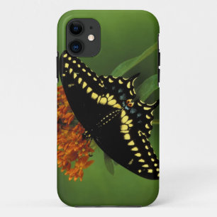 Michigan, Rochester. American Eastern Black iPhone 11 Case