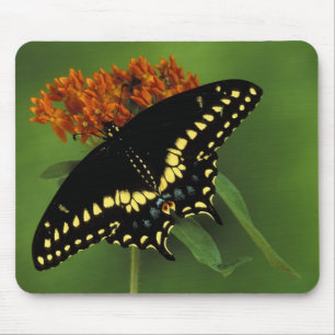Michigan, Rochester. American Eastern Black Mouse Pad