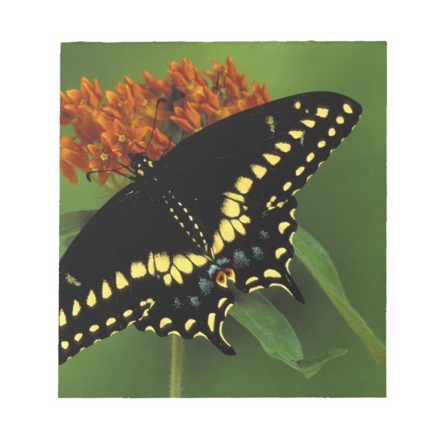 Michigan, Rochester. American Eastern Black Notepad (Front)